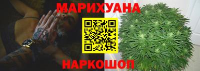 прущие грибы Гусев